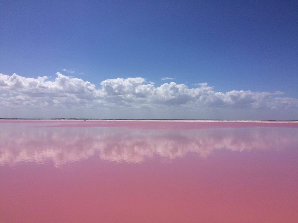 Pinklake2.jpg